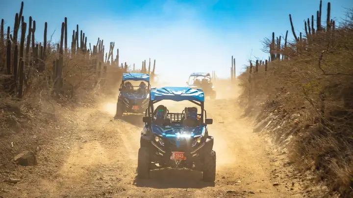 AGW_UTV_PIC_3