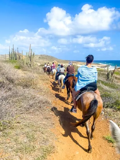 Aruba-Horse-Tours-3