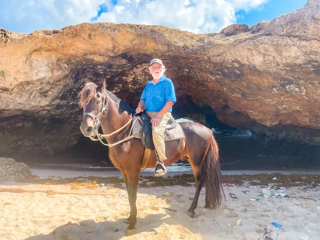 aruba horse tours wariruri private