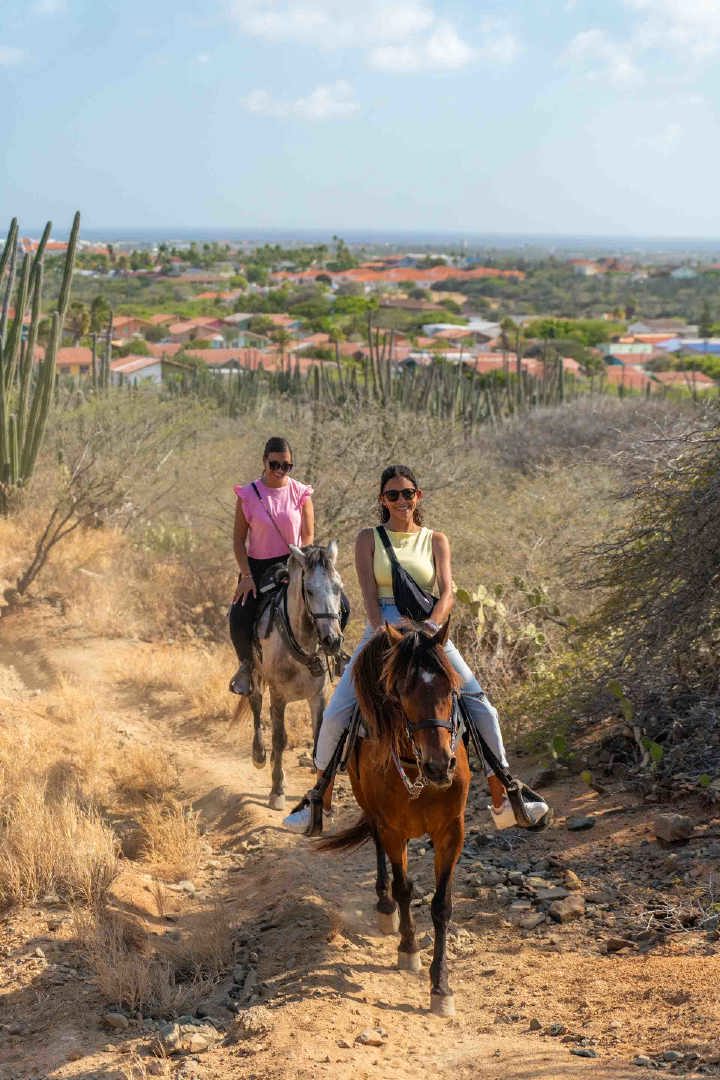 /Aruba_horse_Tours-02.jpg