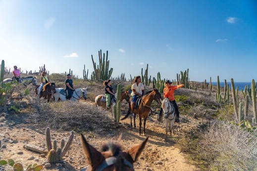 Aruba Horse Tour