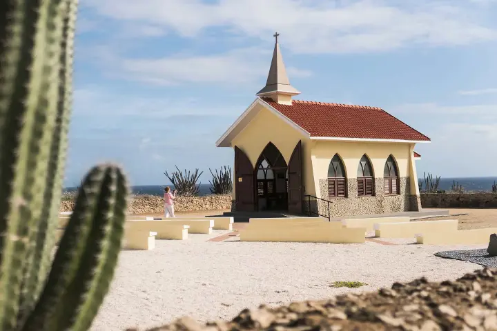 Aruba’s_Finest_Island_Tour_by_Air-Conditioned_Bus_-_Kini_Kini_Tours_(2)_-_Verkleind