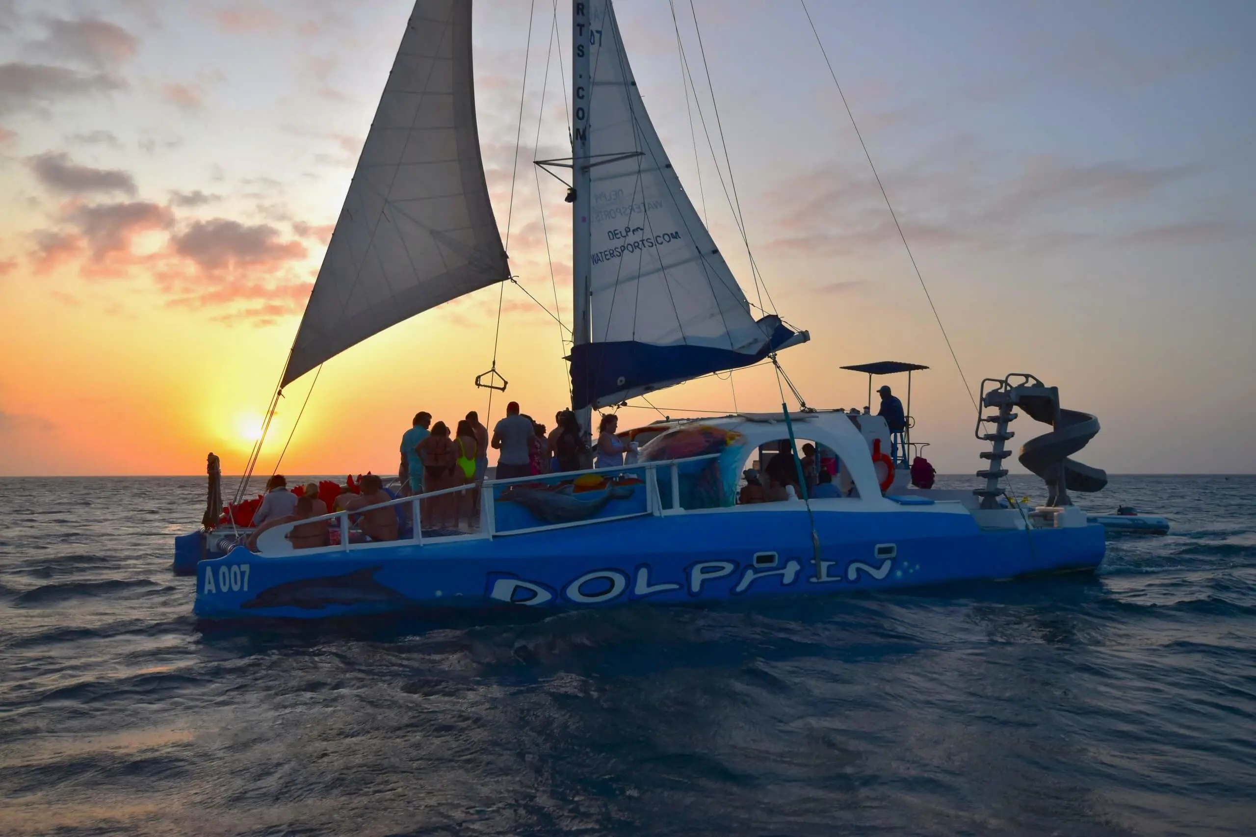 catamaran dolphin sunset adventure cruise