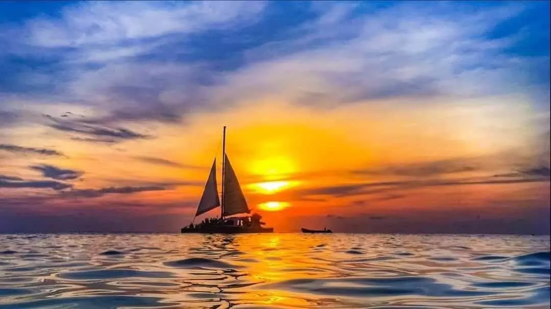 catamaran dolphin sunset adventure cruise