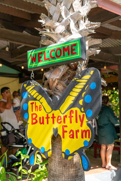 Butterfly-Farm-03