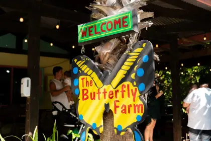/Butterfly_Farm.jpg