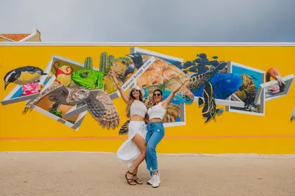 Cross-Aruba-tours-mural