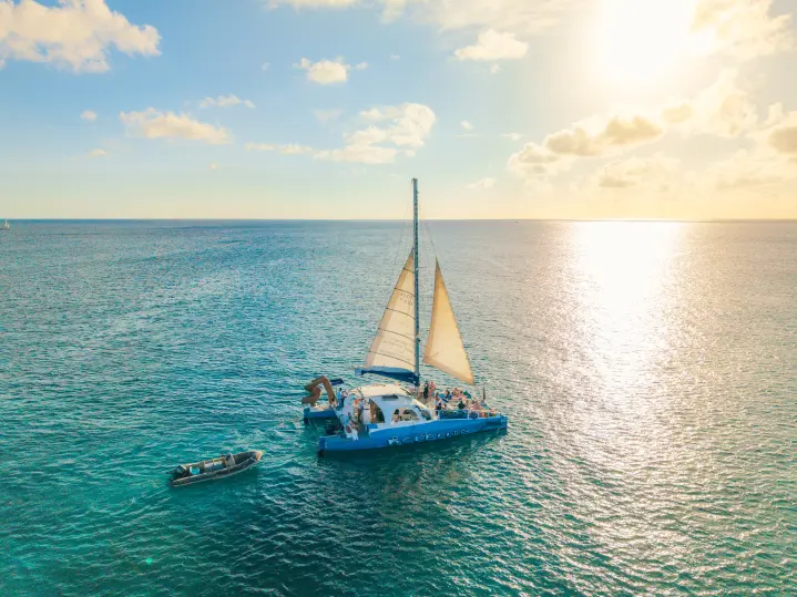 Catamaran Dolphin Sunset Adventure Cruise incl. open bar