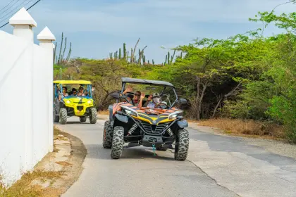 /Discover_Aruba/ABC_UTV-097.JPEG