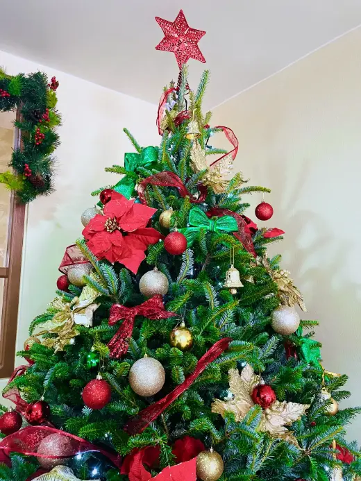 Dia de Natal