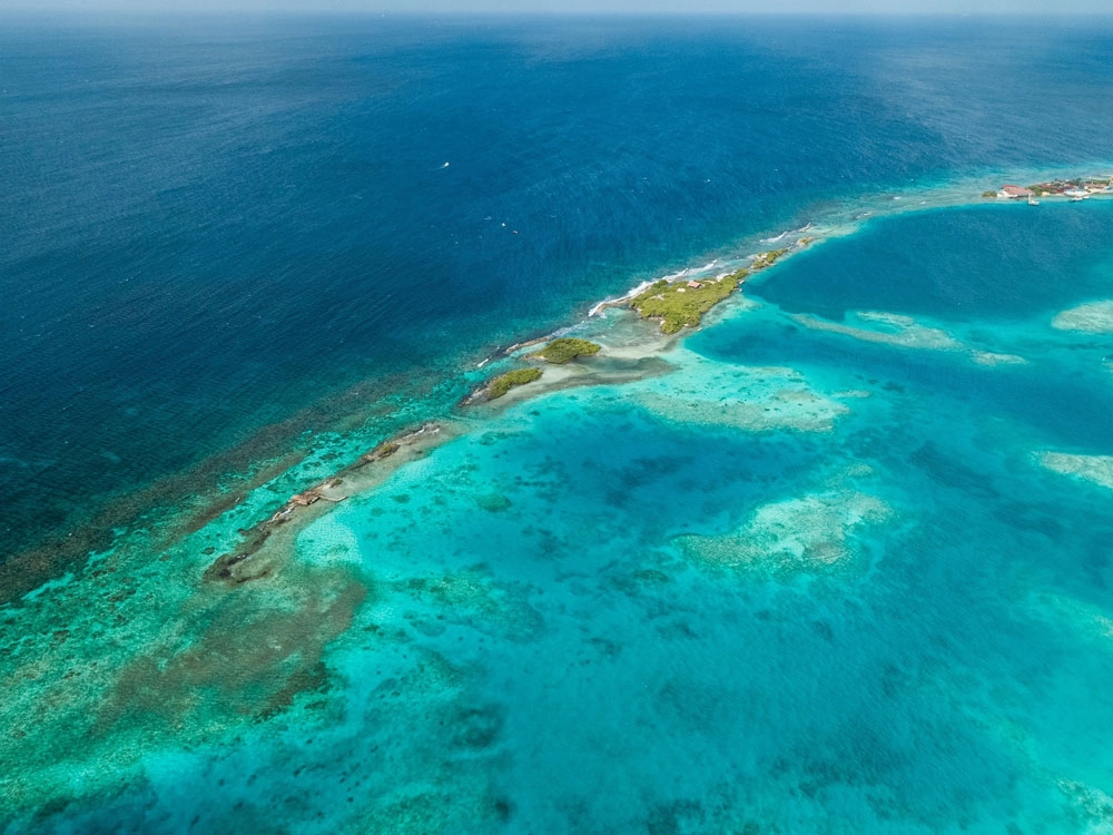 Marine-Protected-Area----Mangel-Halto