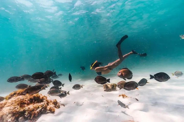 /blog/Top20/Pelican-Adventures-Snorkeling.jpg