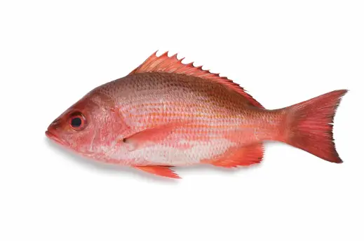 shutterstock_1404663434-scaled