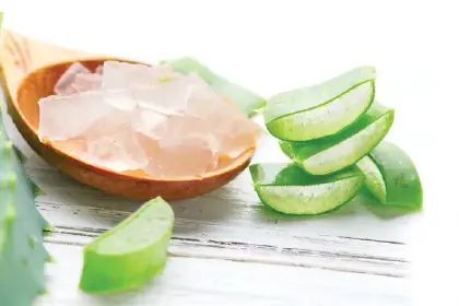 Aloe-690x460-1