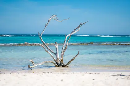 Baby-beach-scaled