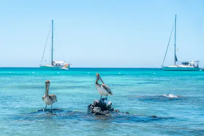 boca-catalina-water-aruba