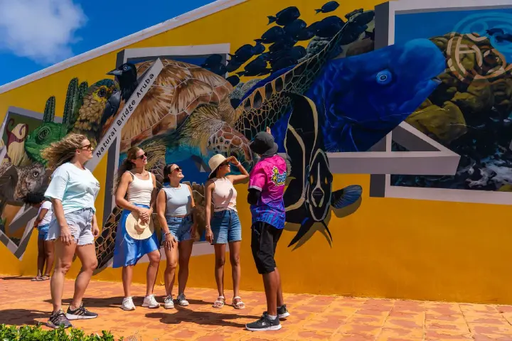 Cross_Aruba_Tours-80