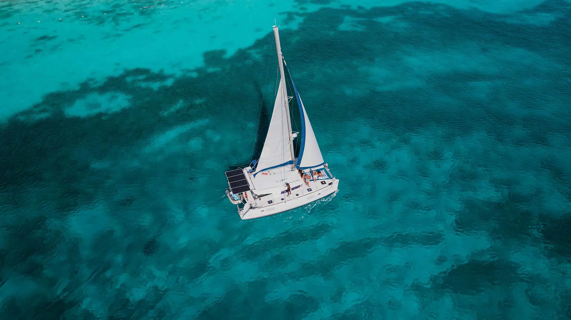 Half_Day_Private_Catamaran_Charter_-_Fortunata_De_Palm_Tours_(2)_-_Verkleind