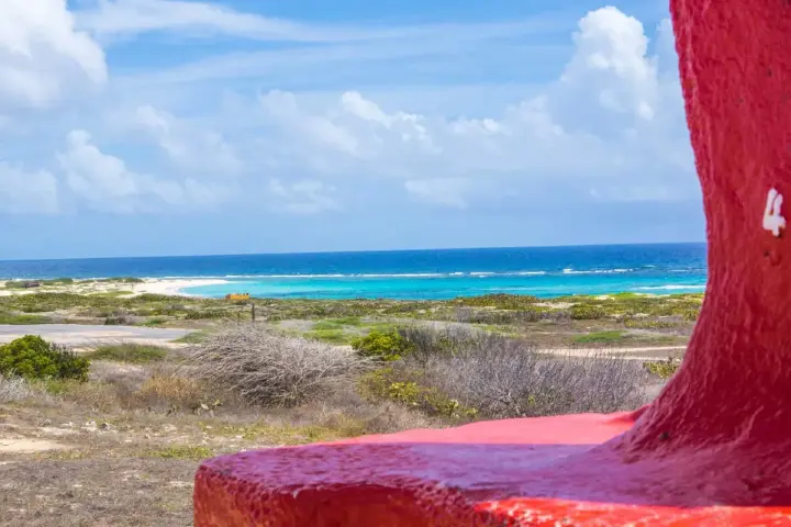 /book_tours/new-tours/Own-Private-Island-Tour-Chogogo-Tours/Create_Your_Own_Private_Island_Tour_–_Chogogo_Tours_(4)_-_Verkleind.jpg