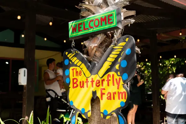 butterflyfarm