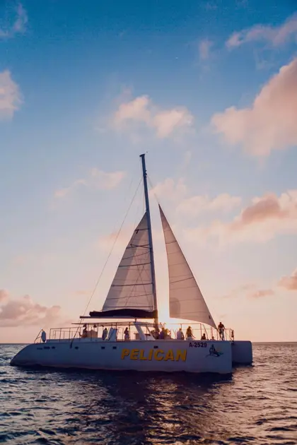 pelican-aruba-boat-water