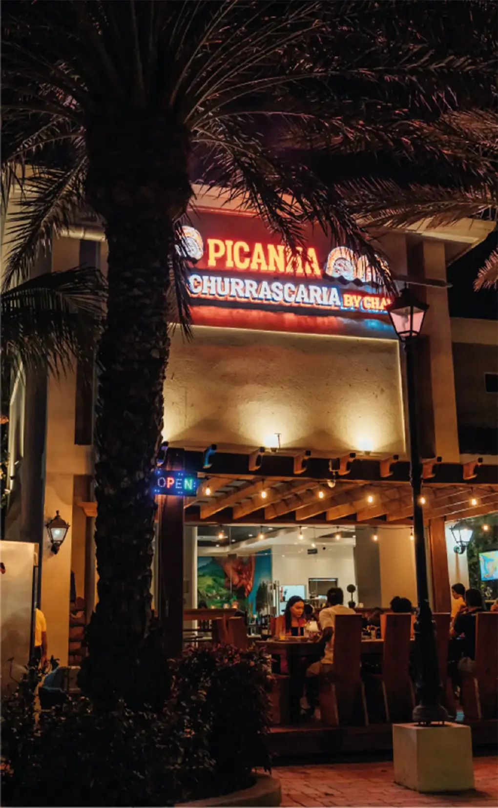 picnha_(1)_-_verkleind