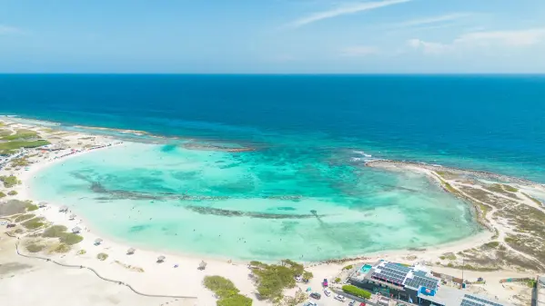 rum-reef-7