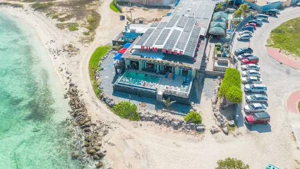 rum-reef-9
